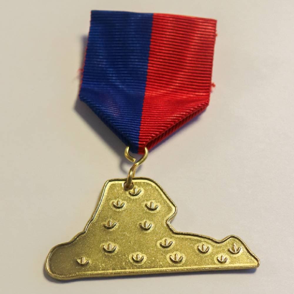 medalj 1